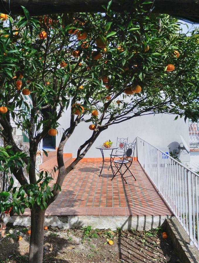 Chez Amelie Villa อามาลฟี ภายนอก รูปภาพ
