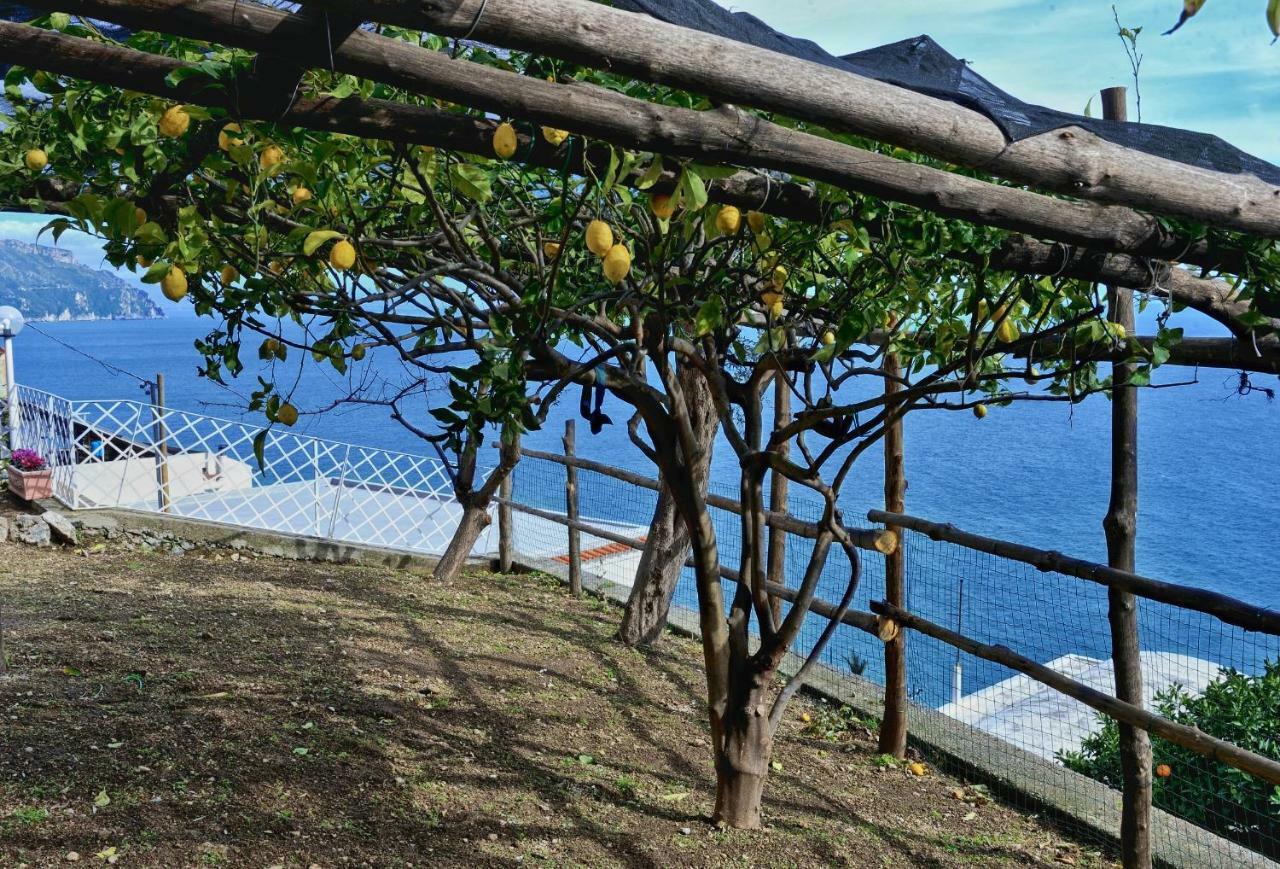 Chez Amelie Villa อามาลฟี ภายนอก รูปภาพ